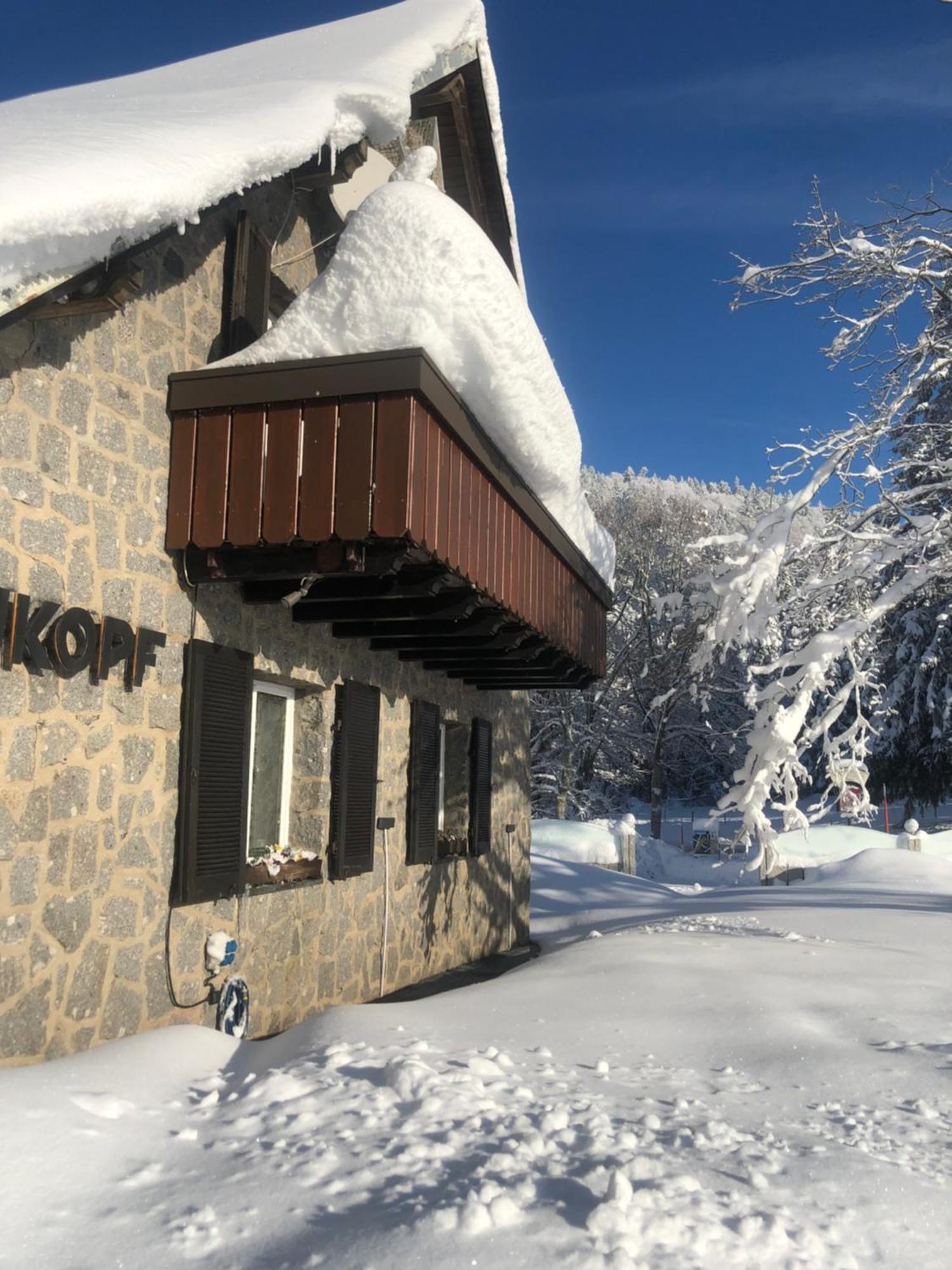 Waldhotel Auerhahn "Hochkopfhaus" Todtnau Εξωτερικό φωτογραφία